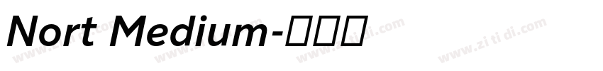Nort Medium字体转换